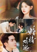 Marital Entanglements Chinese Drama(2025) photo