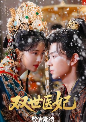 Shuang Shi Yi Fei (0000) poster