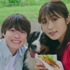 Love & Revenge: Spy Game Japanese Drama(2025) photo