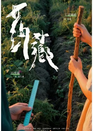 Where Roots Breathe (0000) poster