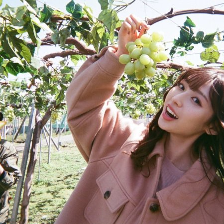 Marry My Husband: Japan (2025)