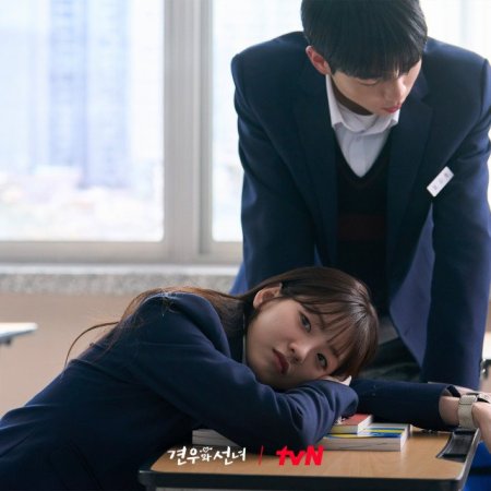 Head over Heels (2025)