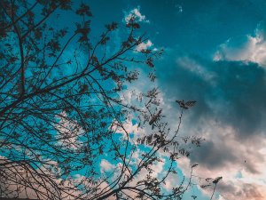 SkyBlue