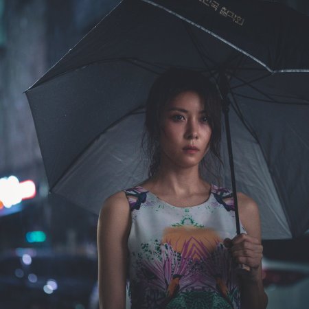 Ha Ji Won