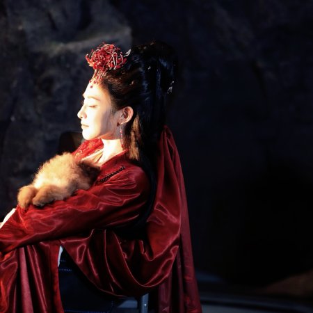 Zhao Wu Nian ()