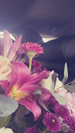 bloomingbliss