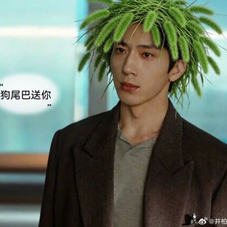 Jing Bo Ran