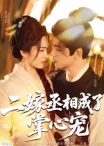 Er Jia Cheng Xiang Cheng Le Zhang Xin Chong Chinese Drama(2025) photo