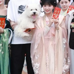 Gui Fei Ta Bu Xiang Juan Le Chinese Drama(2025) photo