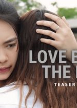 Love beyond the Fence Thai Drama(2025) photo