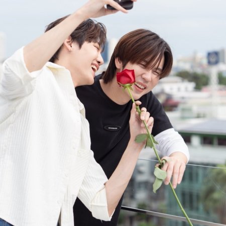 Revamp the Undead Story (2025)