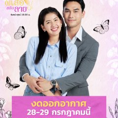 Stolen Wings Thai Drama photo