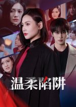 Wen Rou Xian Jing Chinese Drama(2025) photo