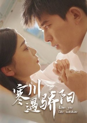 Love You Like Sunshine poster