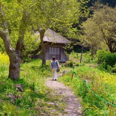 Letter from the Mountain (2002)