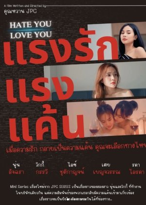 Hate You Love You poster