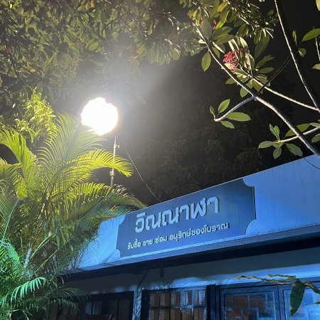 Revamp the Undead Story (2025)