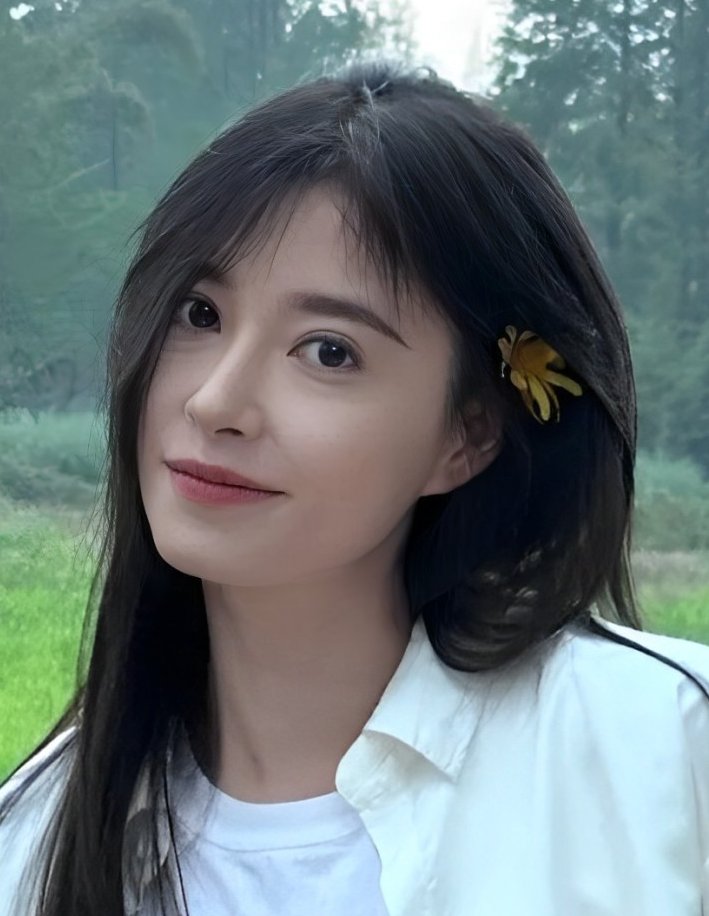 Qi Han