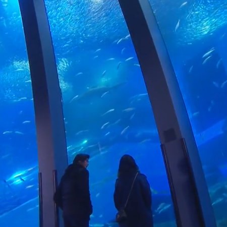 Tokyo Tarareba Musume (2017)