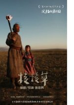 The Saxaul Chinese Drama photo