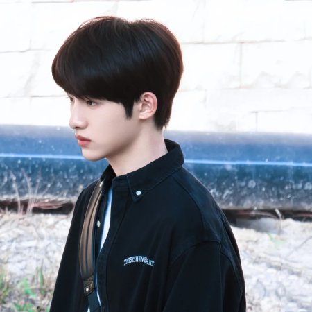 Sunshine through the Rain ()