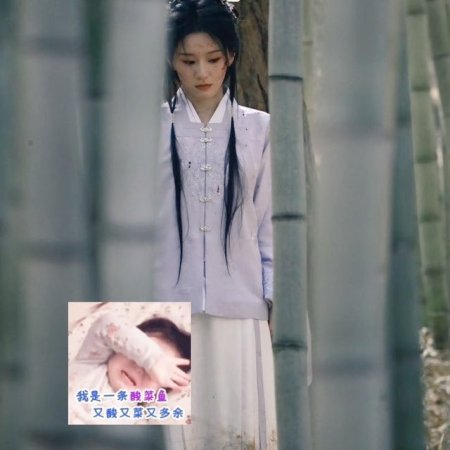 Reborn of the Rightful ()