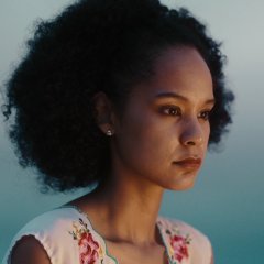 Fence Japanese Drama photo