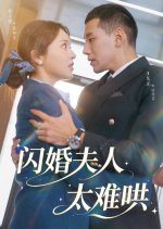 Shan Hun Fu Ren Tai Nan Hong Chinese Drama(2025) photo