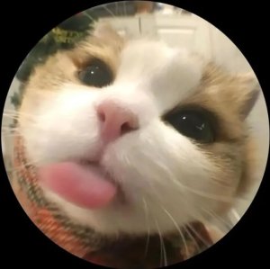S J