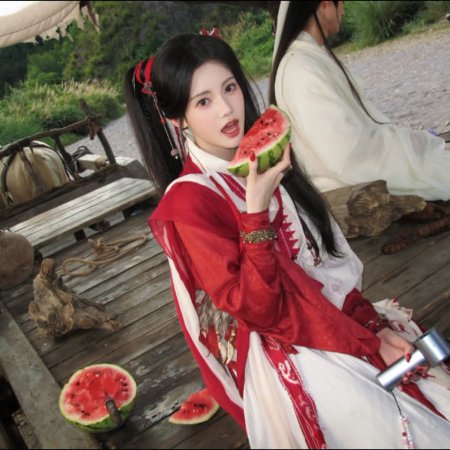 The Legend of Lu Xiaofeng ()