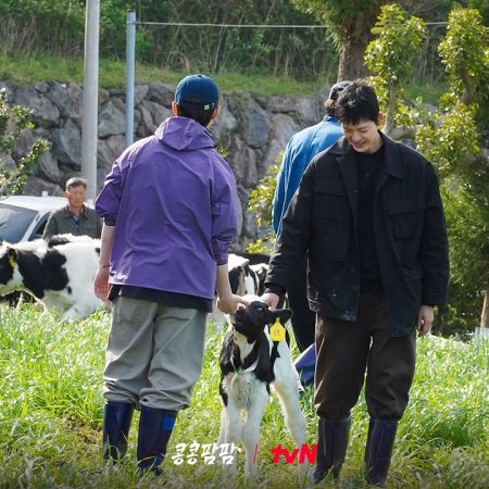 GBRB: Farm Operation - Go Go Farm (2026)