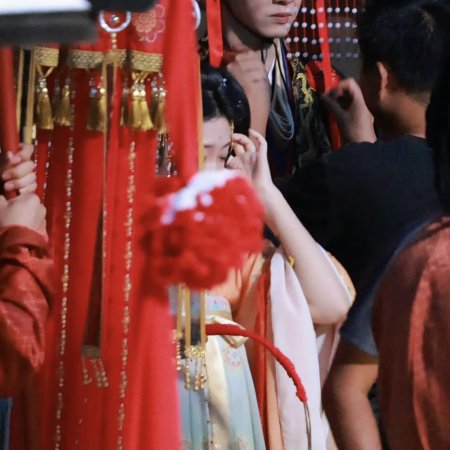 Jiang Shan Wei Pin ()