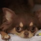 Teeny