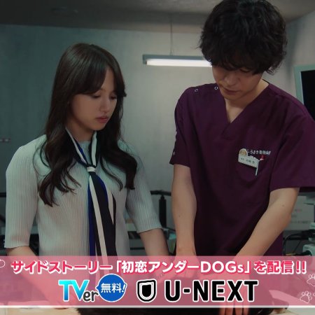 Love Is for the Dogs (2025)
