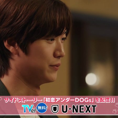 Love Is for the Dogs (2025)