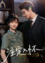 Be Your Kiss Chinese Drama(2025) photo