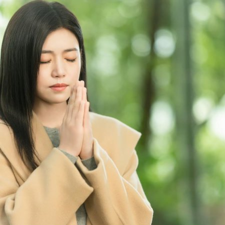 Sniper Butterfly (2025)