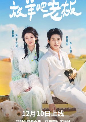 Fang Yang Ba Lao Ban poster