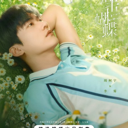 Sniper Butterfly (2025)