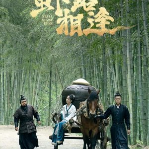 Shrimp Encounter (2026)