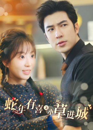 She Nian You Xi Zhi Xiao Cao Jin Cheng (2025) poster