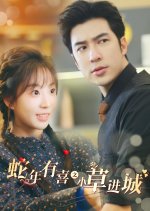 She Nian You Xi Zhi Xiao Cao Jin Cheng Chinese Drama(2025) photo