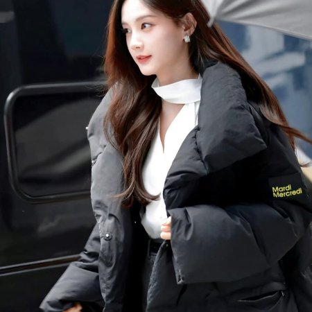 The Vanishing Beauty ()