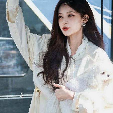 The Vanishing Beauty ()