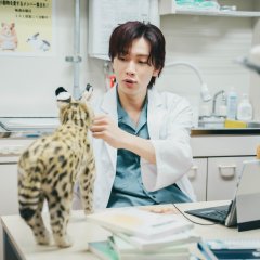 Therapy Game Japanese Drama(2025) photo