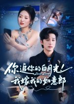 Lost Love Chinese Drama(2025) photo