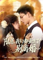Lu Zong, Wo Men Dou Chong Sheng Le! Bie Li Hun Chinese Drama(2025) photo