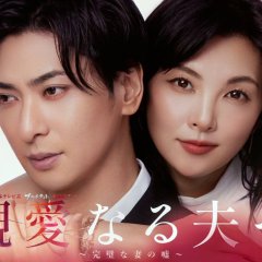 Shinainaru Otto e: Kanpekina Tsuma no Uso Japanese Drama(2026) photo
