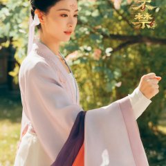 Shadows of Desire Chinese Drama photo