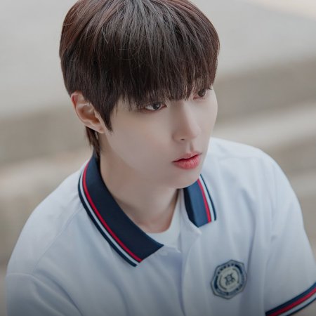 Dream to You (2026)